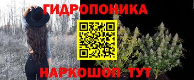 гашик Малгобек