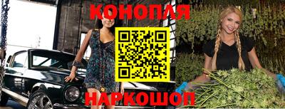 гашик Малгобек