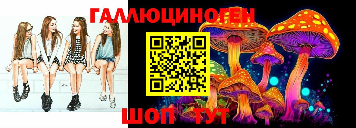 Железногорск  наркошоп  Вход с VPN  Псилоцибиновые грибы прущие грибы 